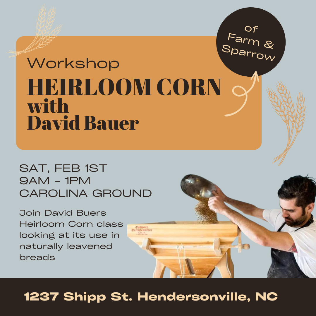 HEIRLOOM CORN CLASS WITH DAVID BAUER, SAT 1st FEB 9am-1