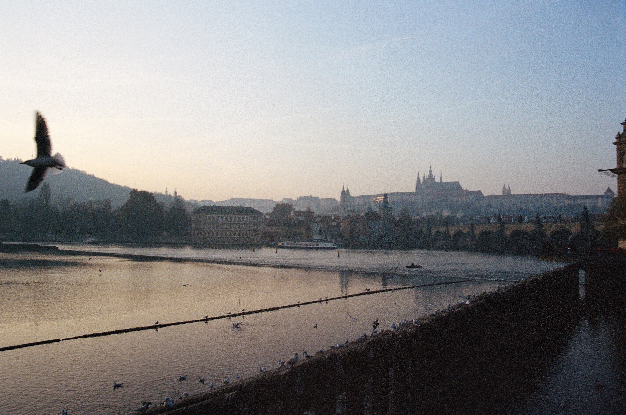 65050034.jpg