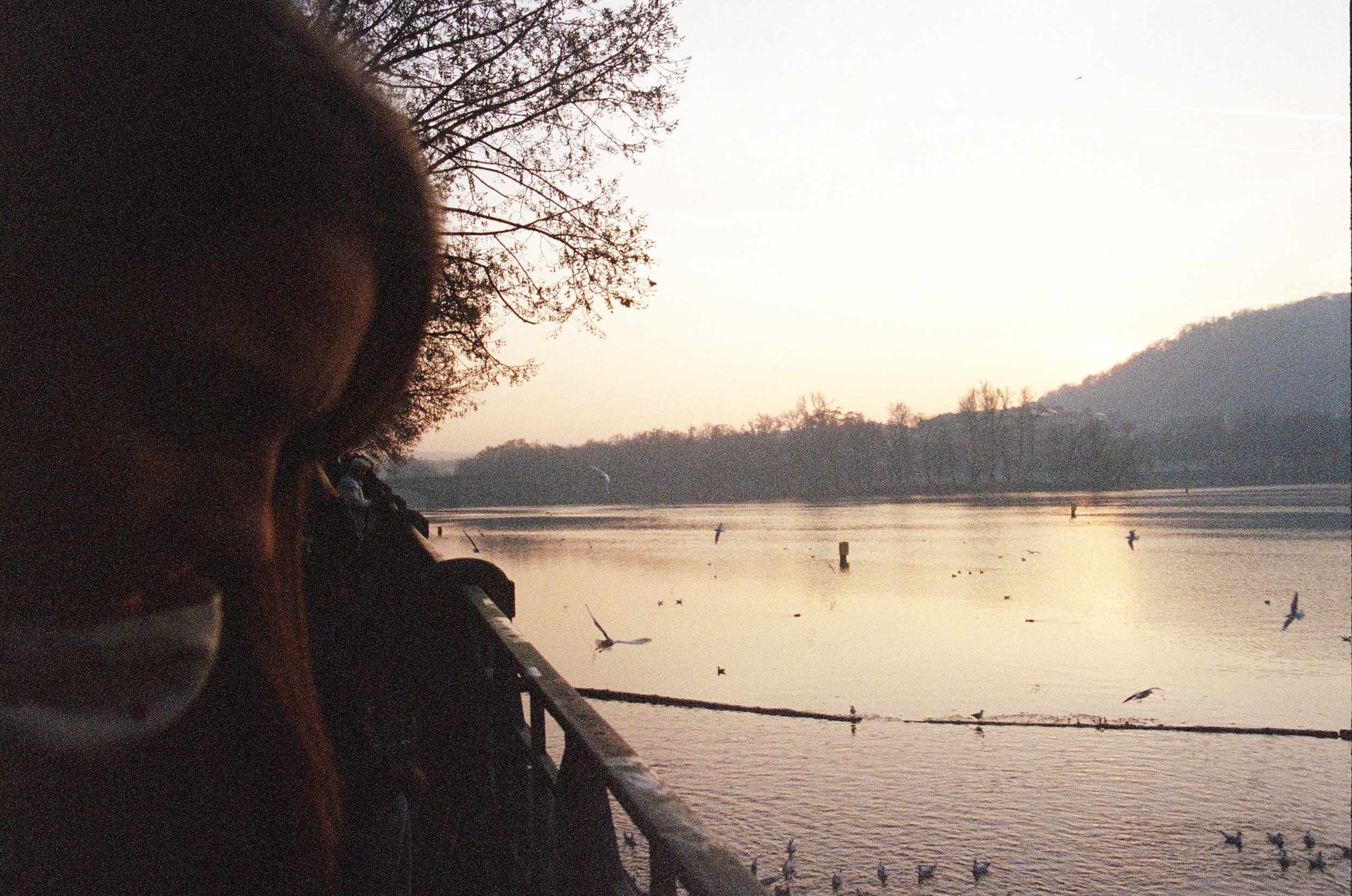 65050035.jpg
