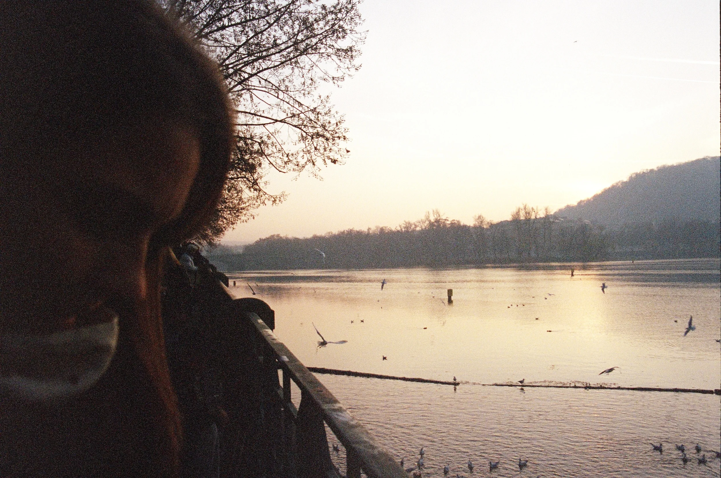 65050035.jpg
