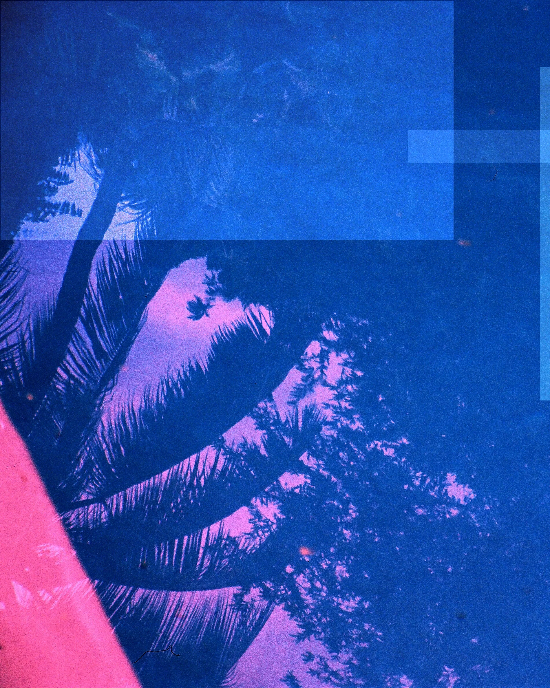 reflection in ernests pool.jpg