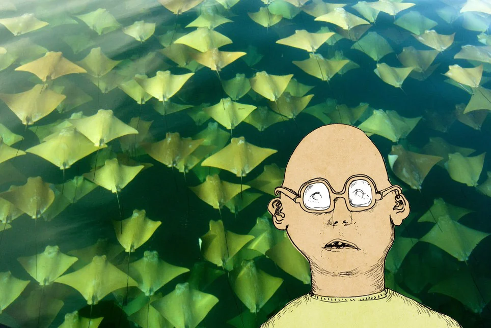fred2.jpg