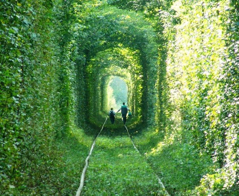 tunnel-of-love-4[3].jpg