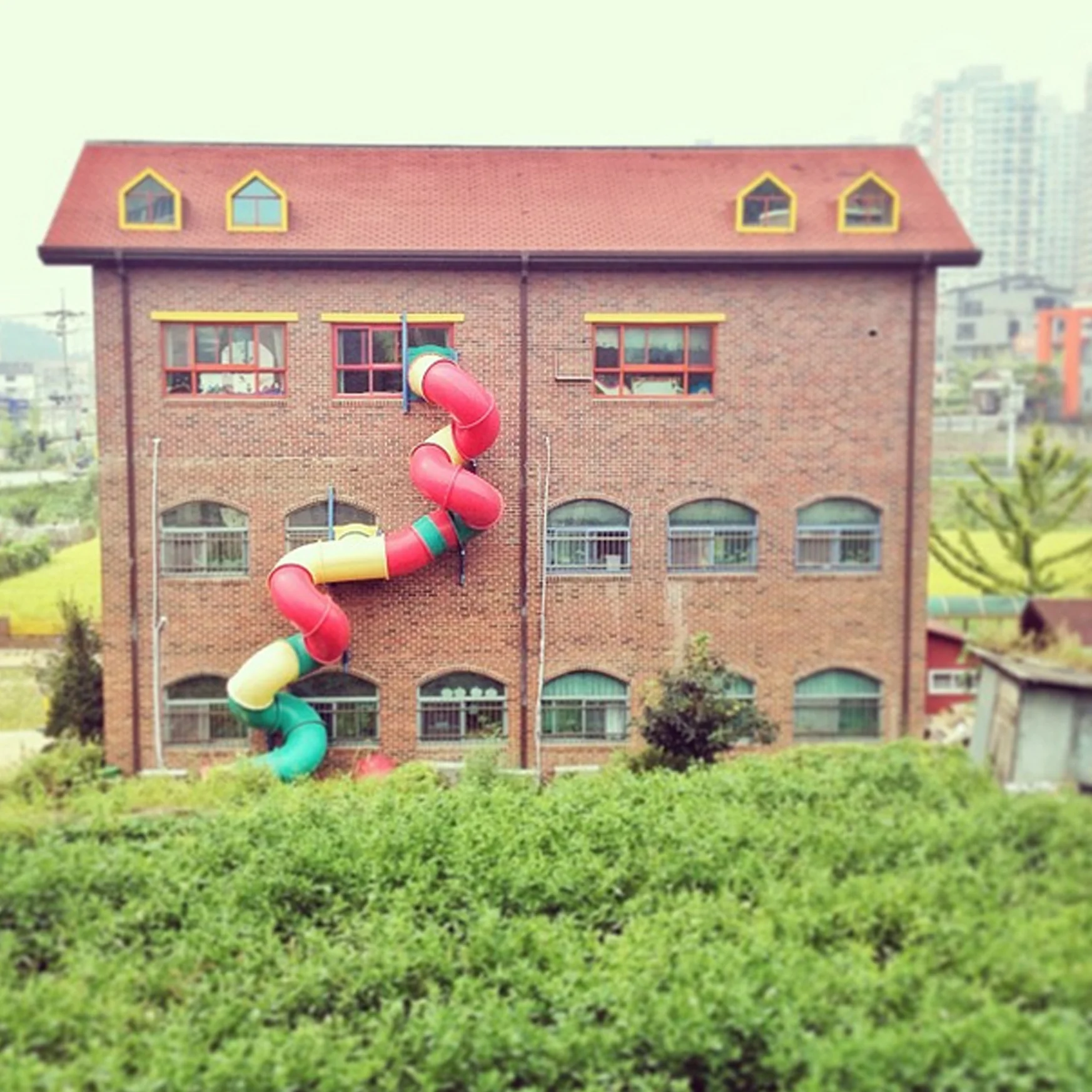 korea slide aieshaapple.jpg