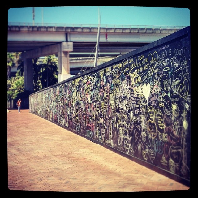 zareenp pic from darlingharbour.jpg