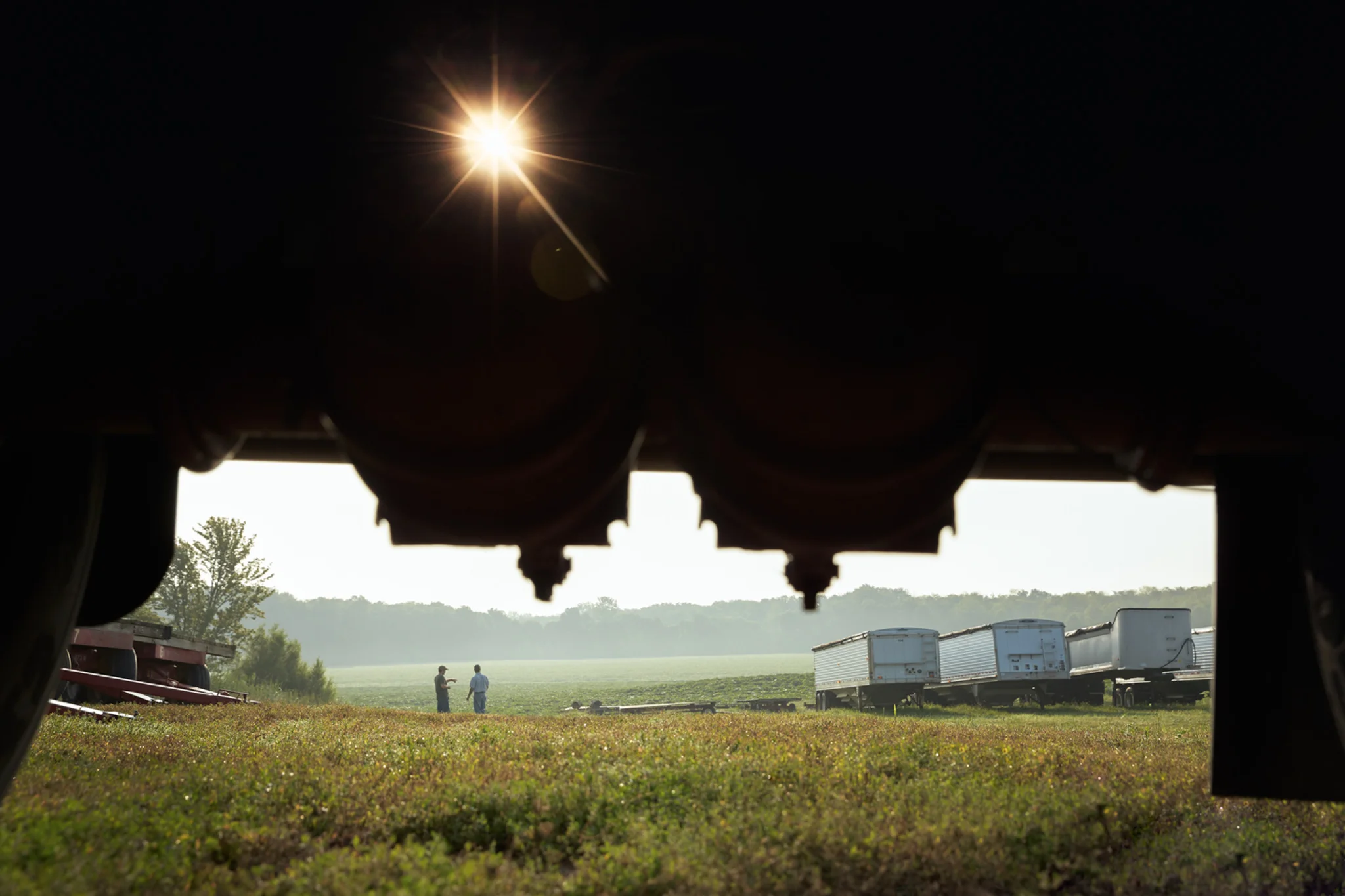 jcp_agriculture_023.jpg