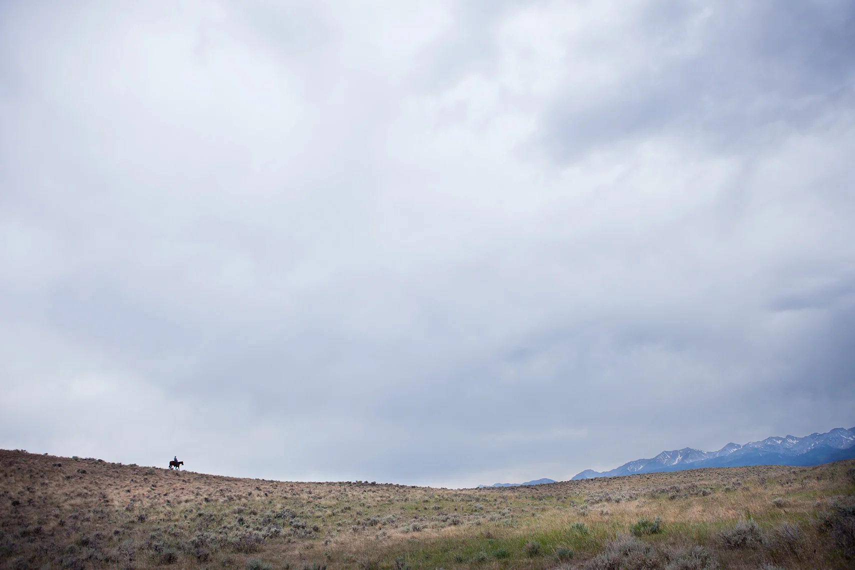 _MG_0186.jpg