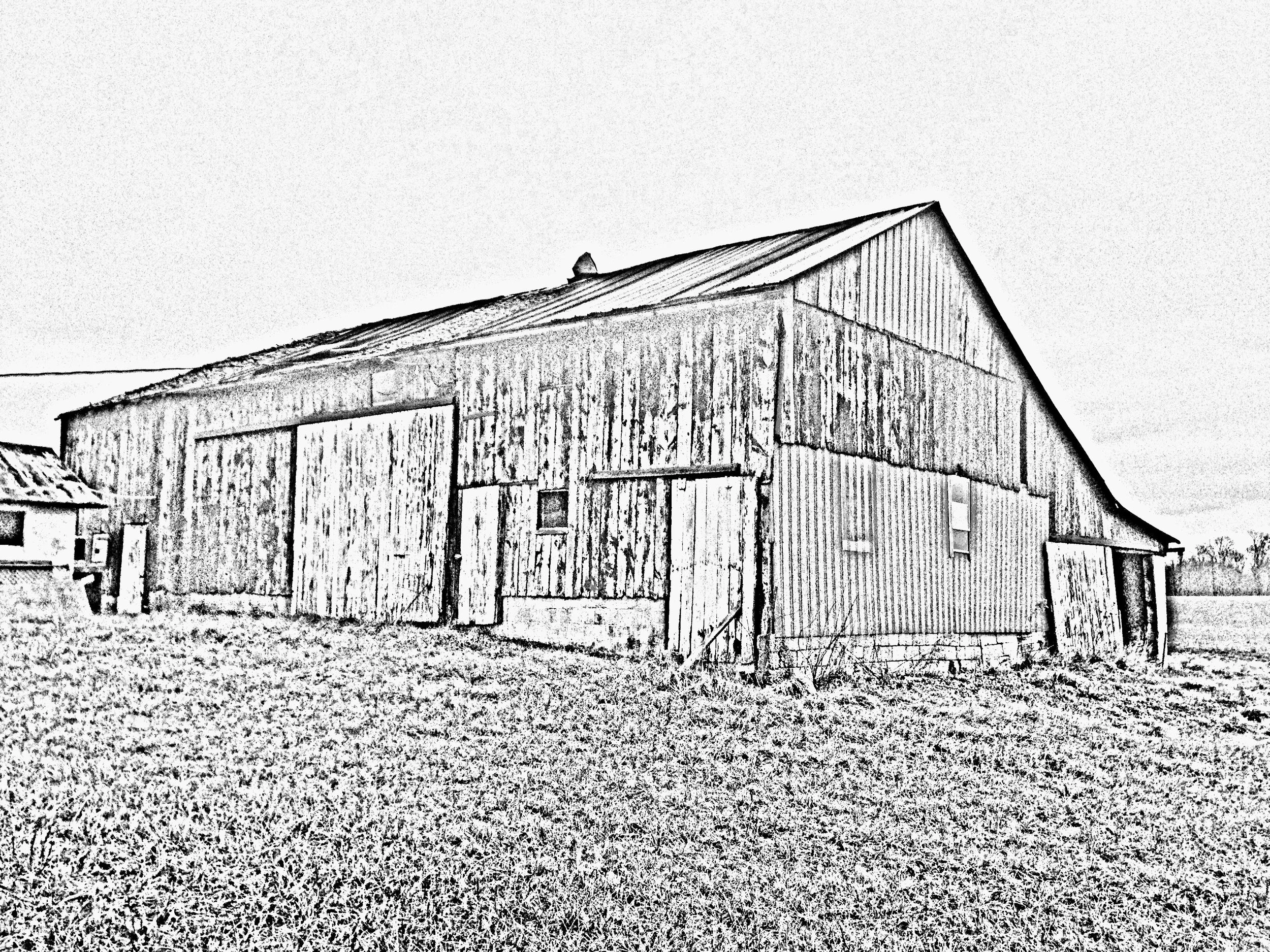 Ross Road Barn 32 x 56(B+W).jpg