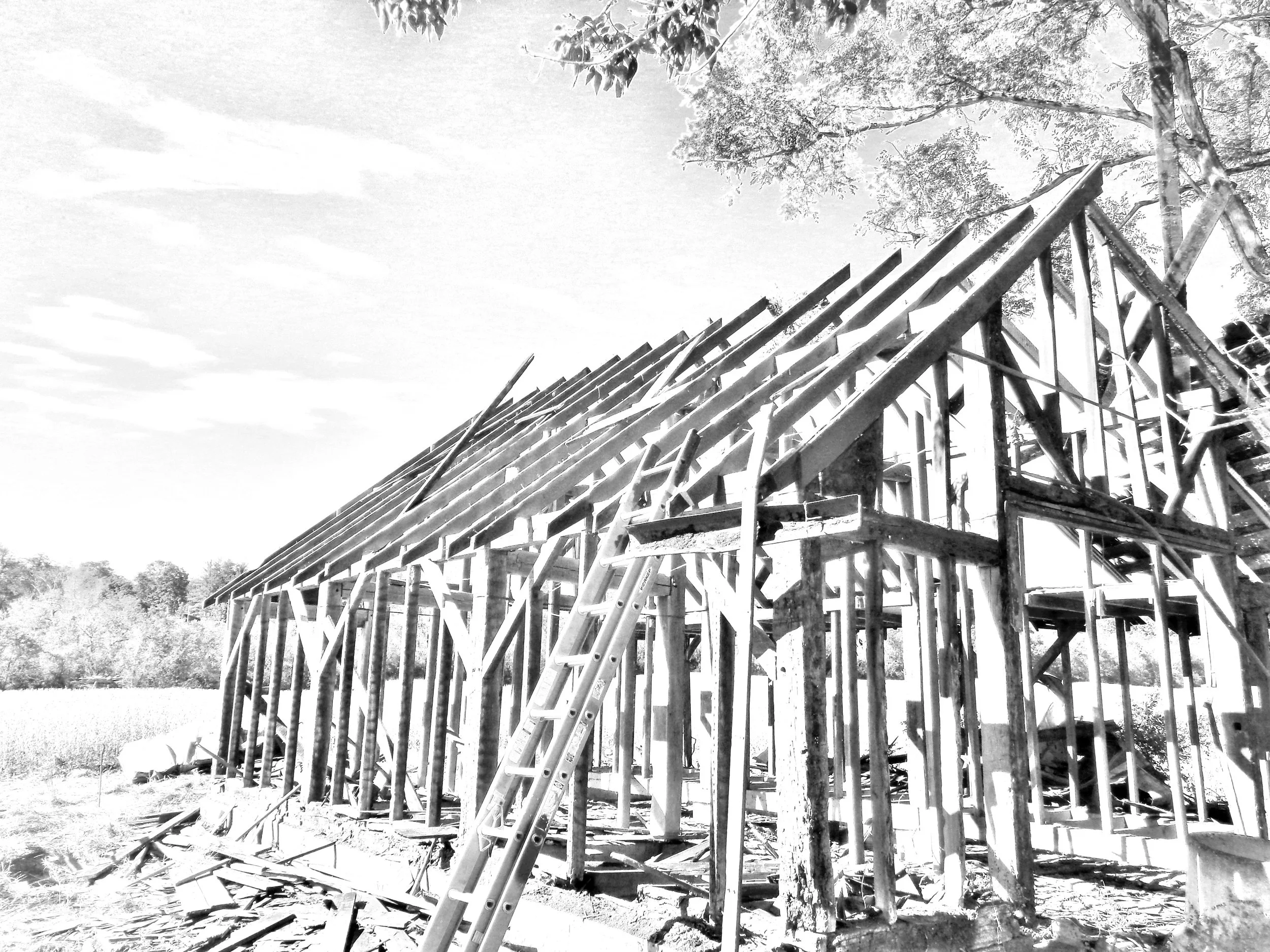 Double Corn Crib 24 x 32(B+W).jpg