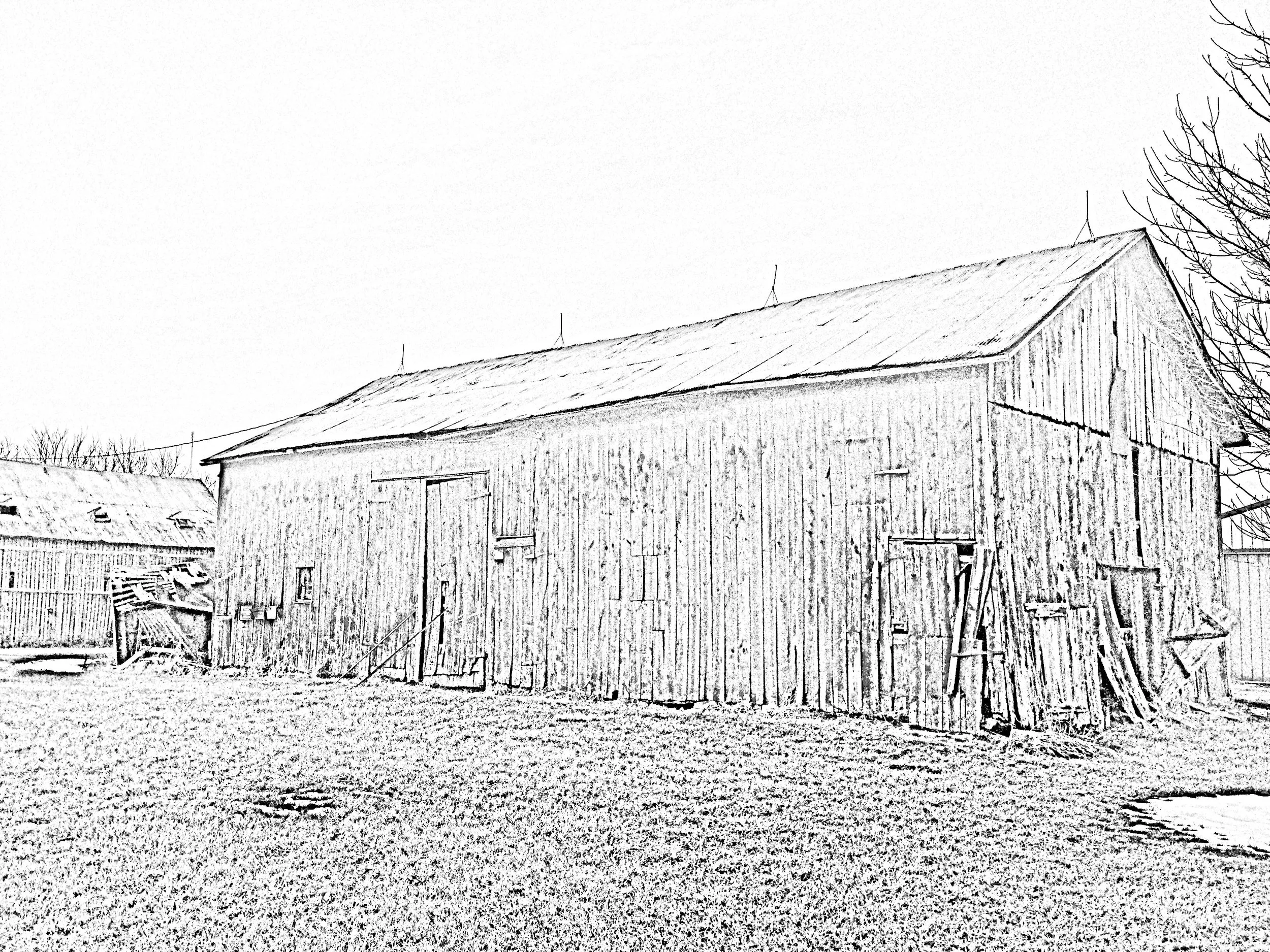 Graytown Barn 32 x 60(b+w).jpg