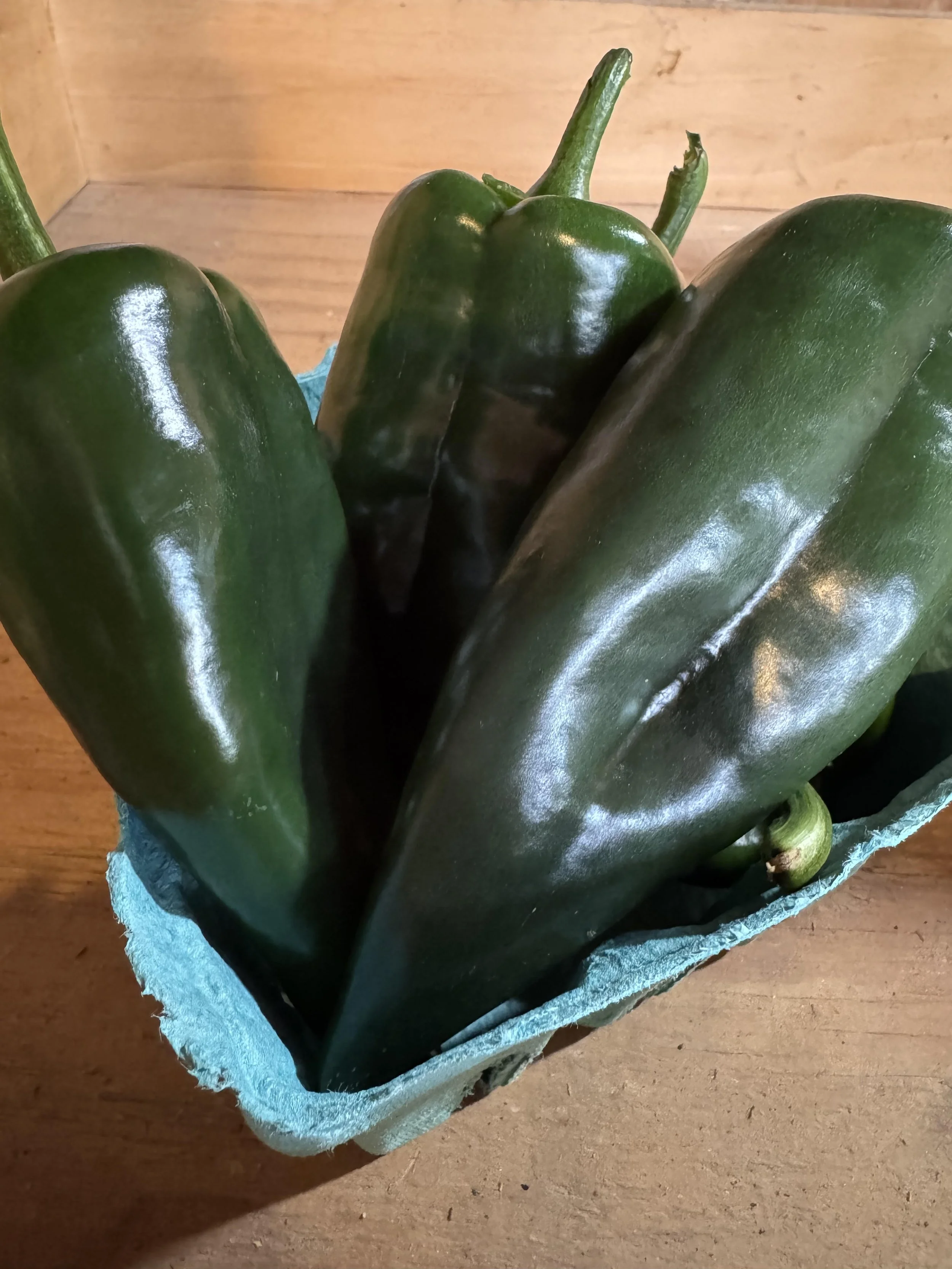 peppers_poblano.jpg