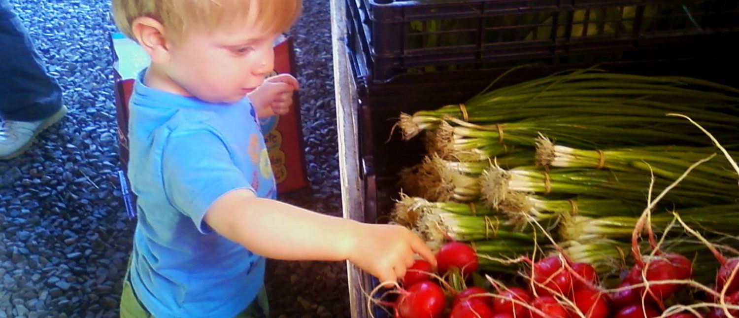 Asa-radishes.jpg