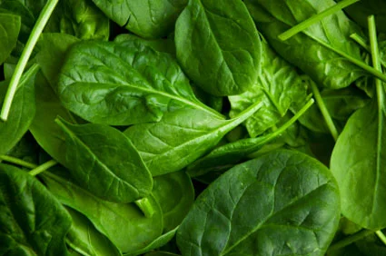 spinach-425.jpg
