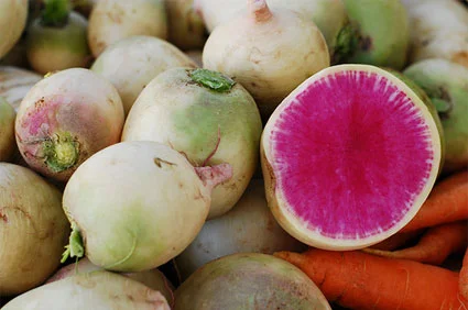 watermelon-radish.jpg