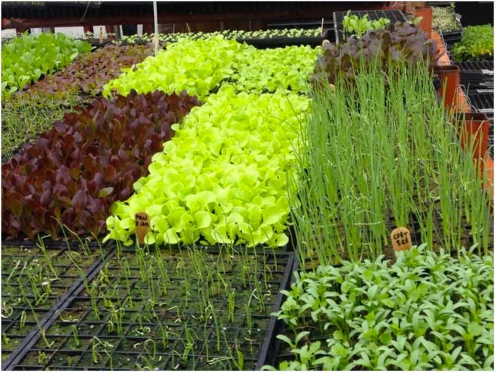 See what we're growing!