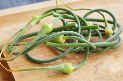 Garlic Scapes