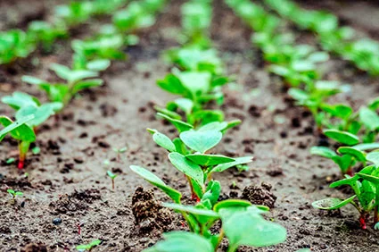 A New Season is Coming...