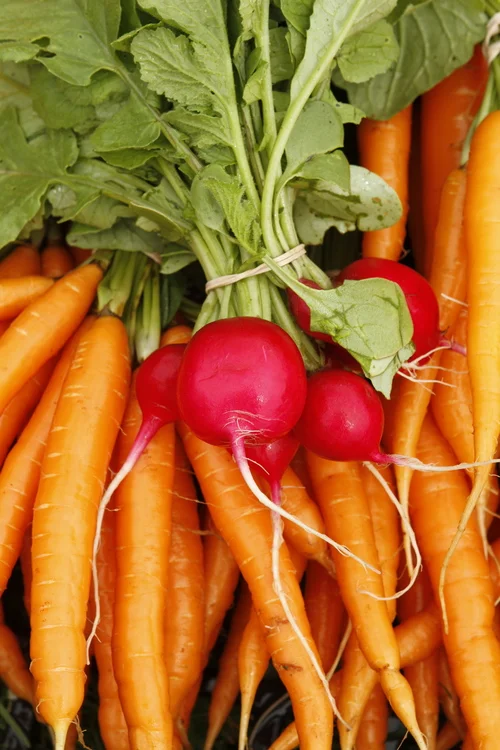 Sample CSA Shares Now Available