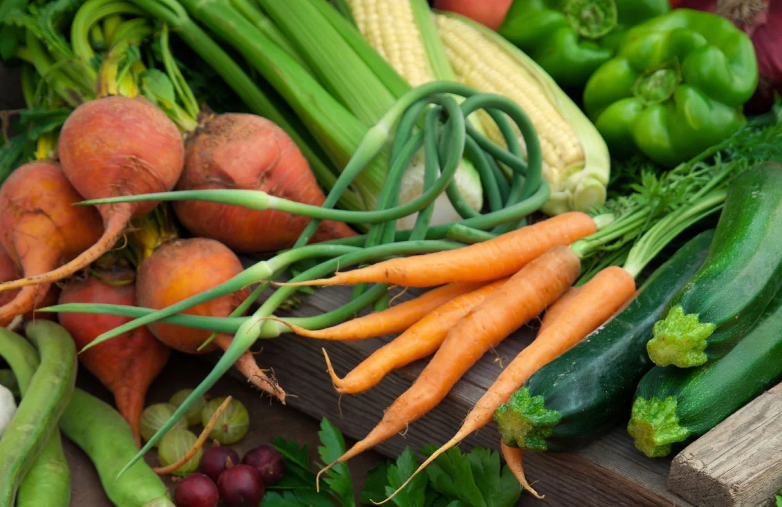 year-round-csa-banner.jpg