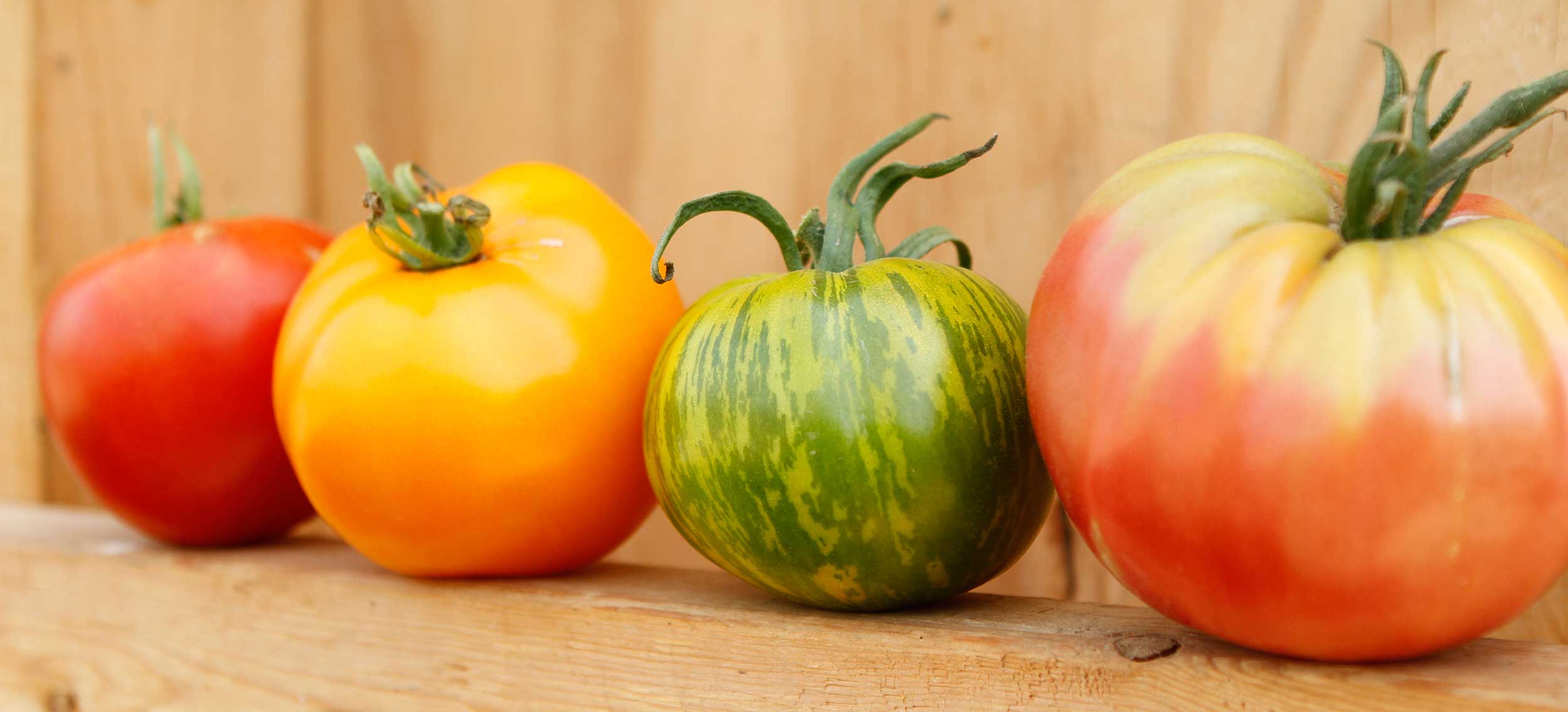 heirloom-tomatoes.jpg
