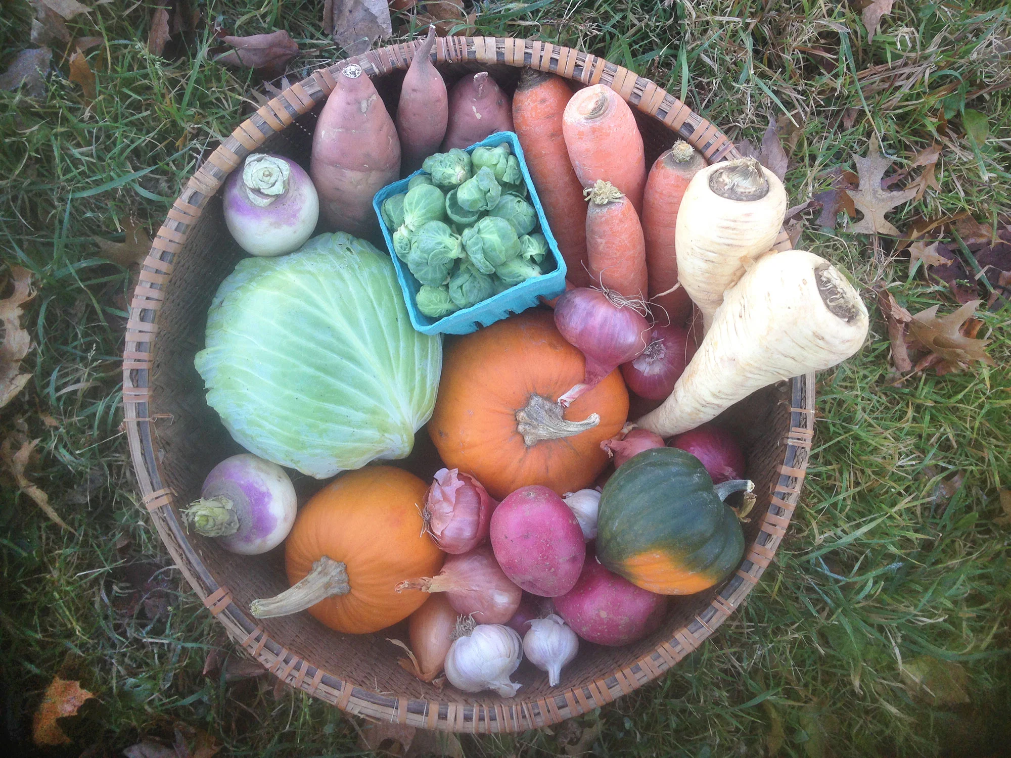 fall-csa.jpg