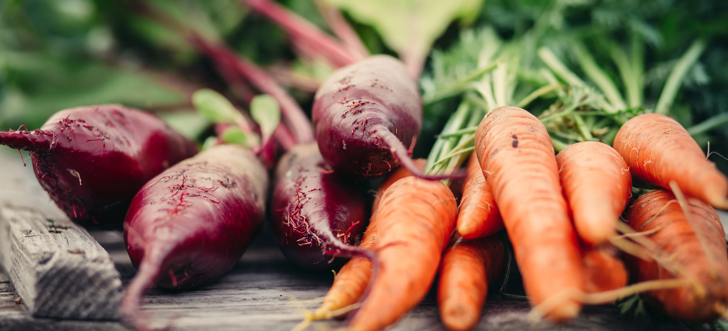 Spring Vegetable CSA
