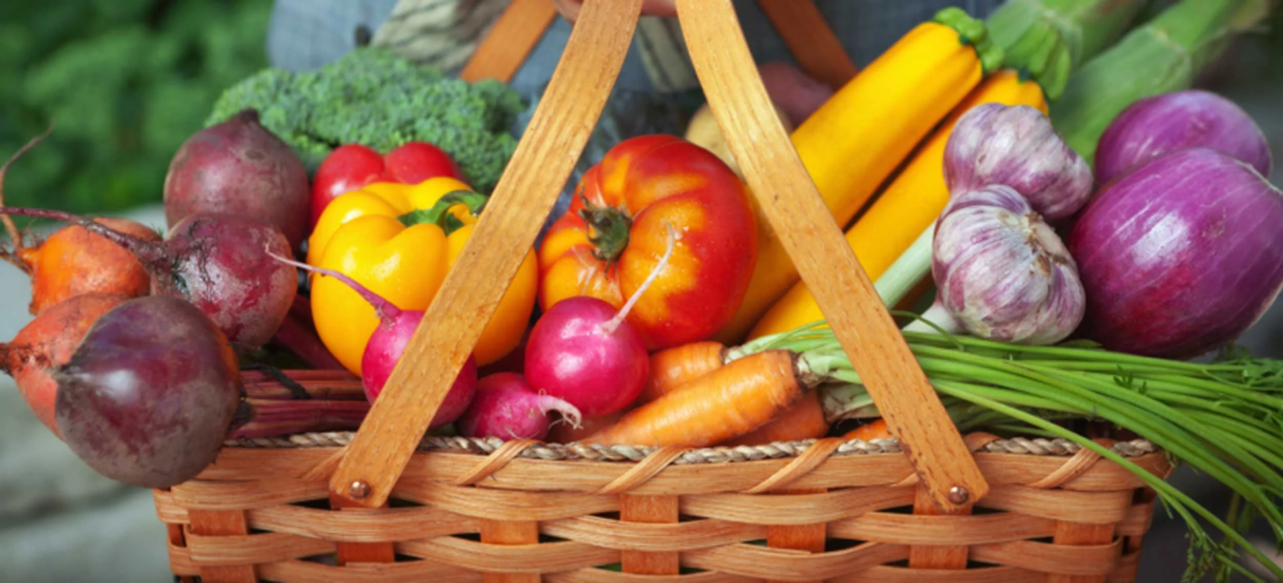 Summer Vegetable CSA