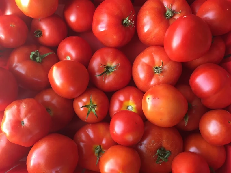 Canning Tomatoes (Seconds) - 20 lb box