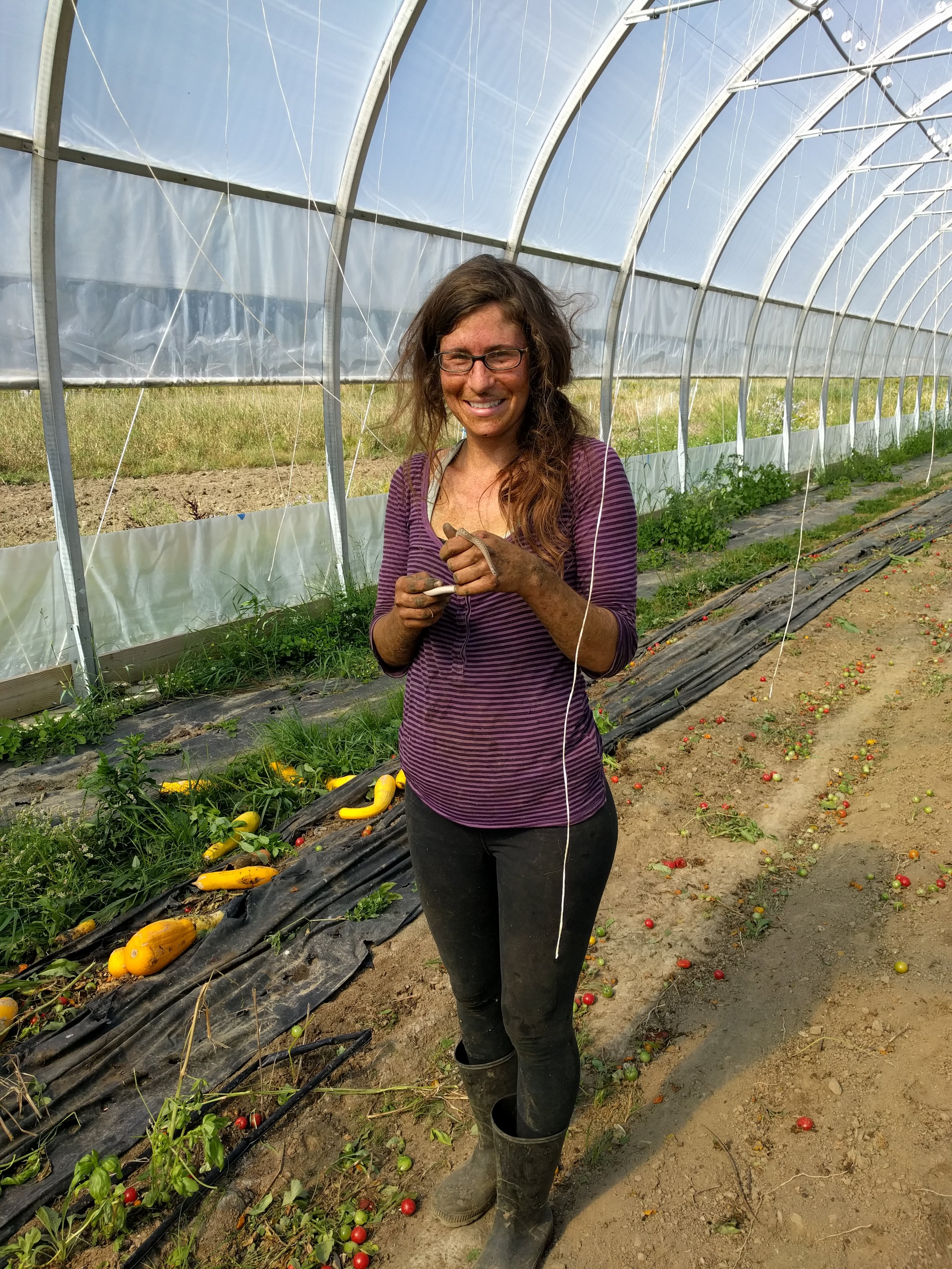Pulling tomato plants gets a little messy. Liz found plenty of dirt and a little friend in the process.