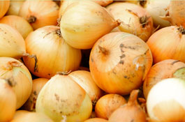 onions_265.1.jpg