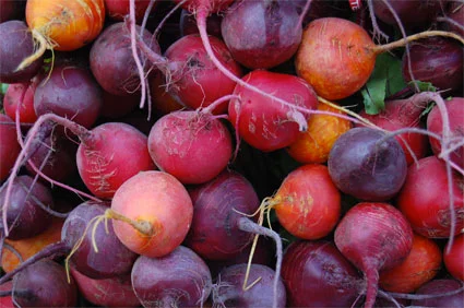 beets2.jpg (Copy)