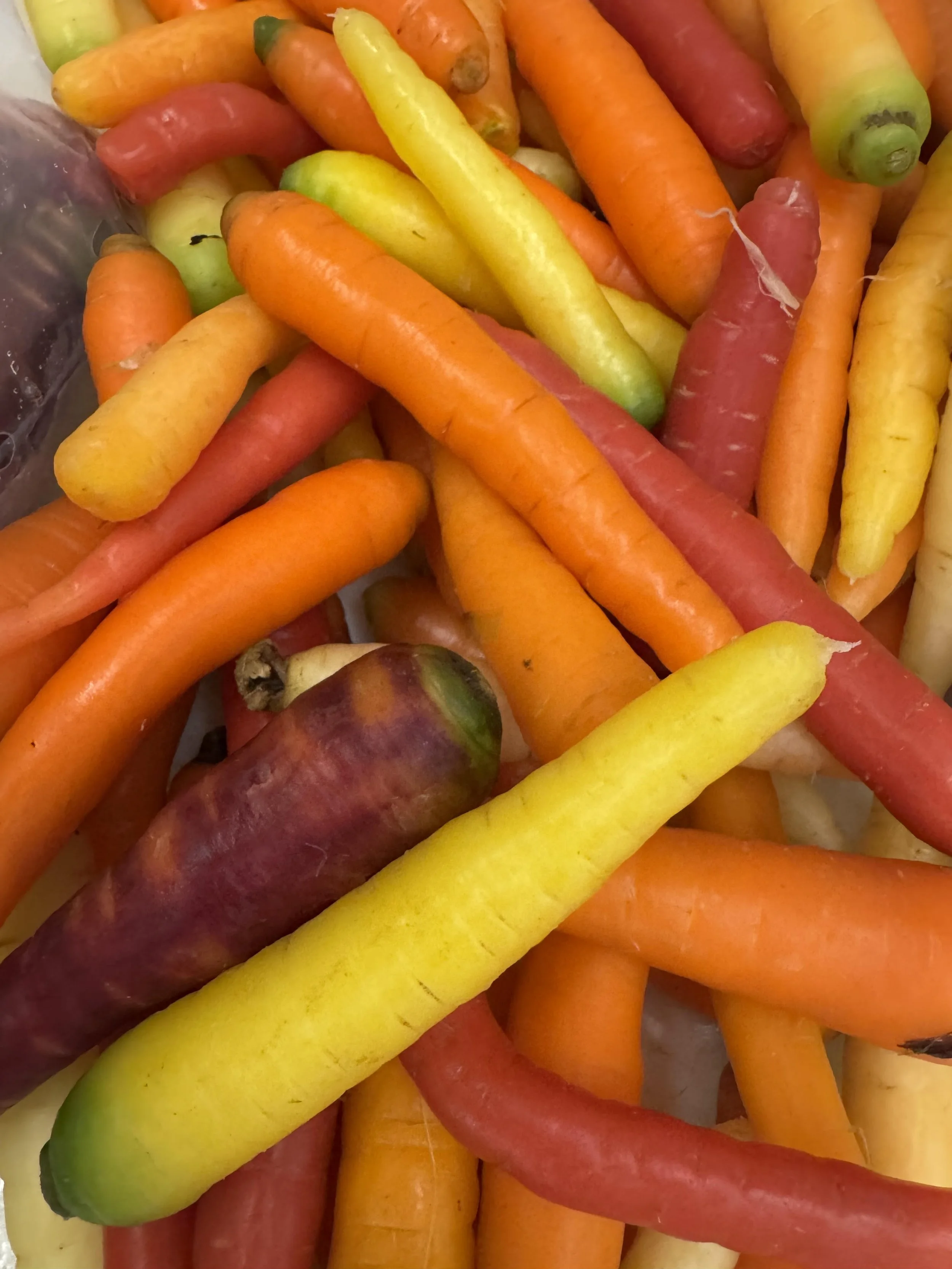 carrotsrainbow2.jpg
