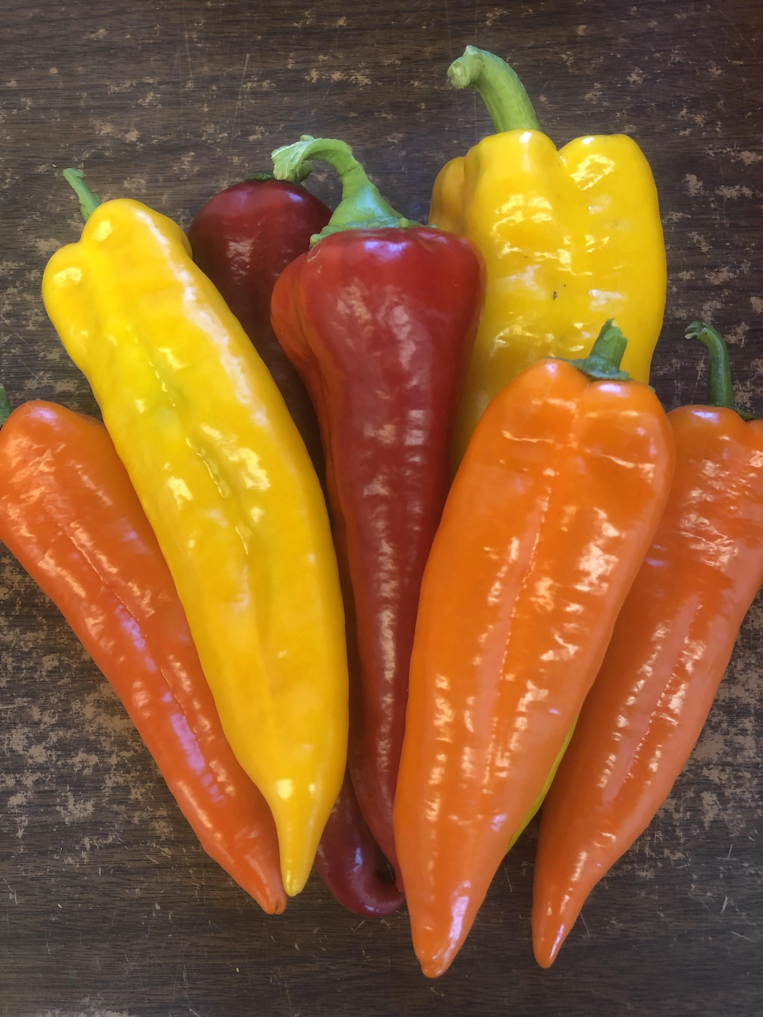peppers_roasting.jpg