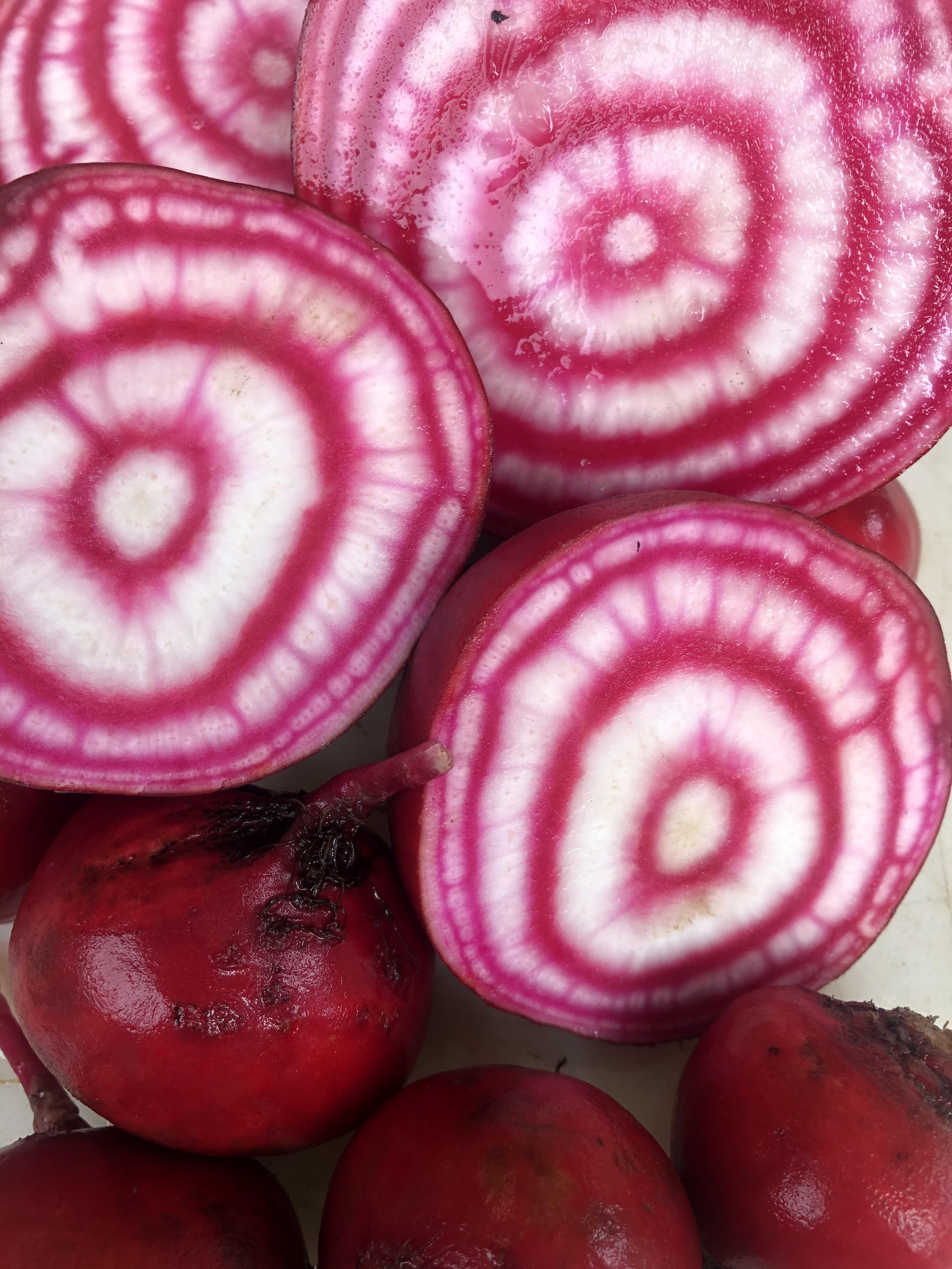chioggia beets.jpg (Copy)