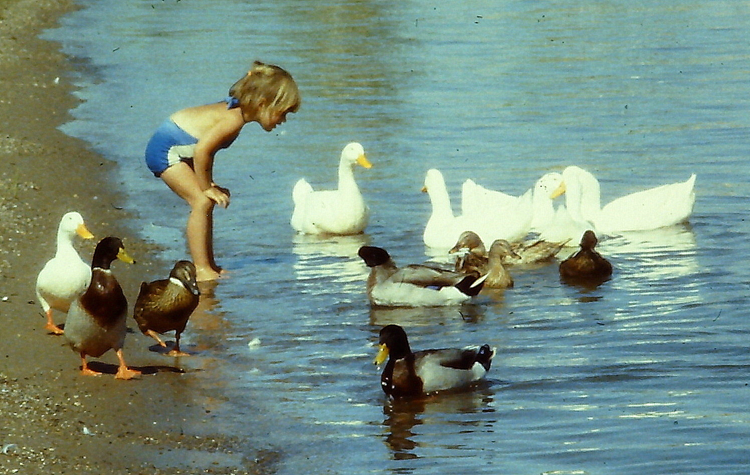 April at the Colorado River. 1981