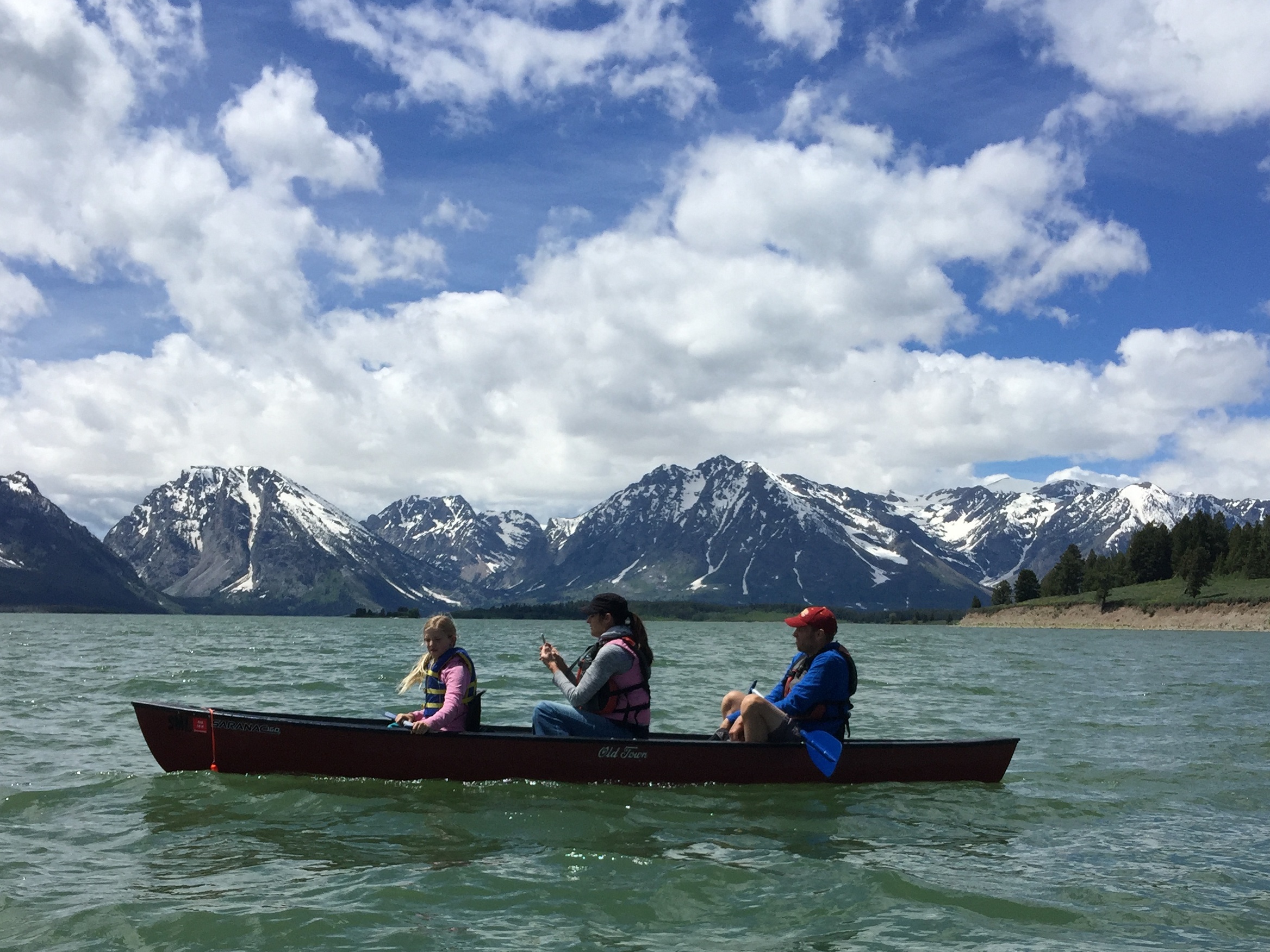 The D's - Jackson Lake - GTNP