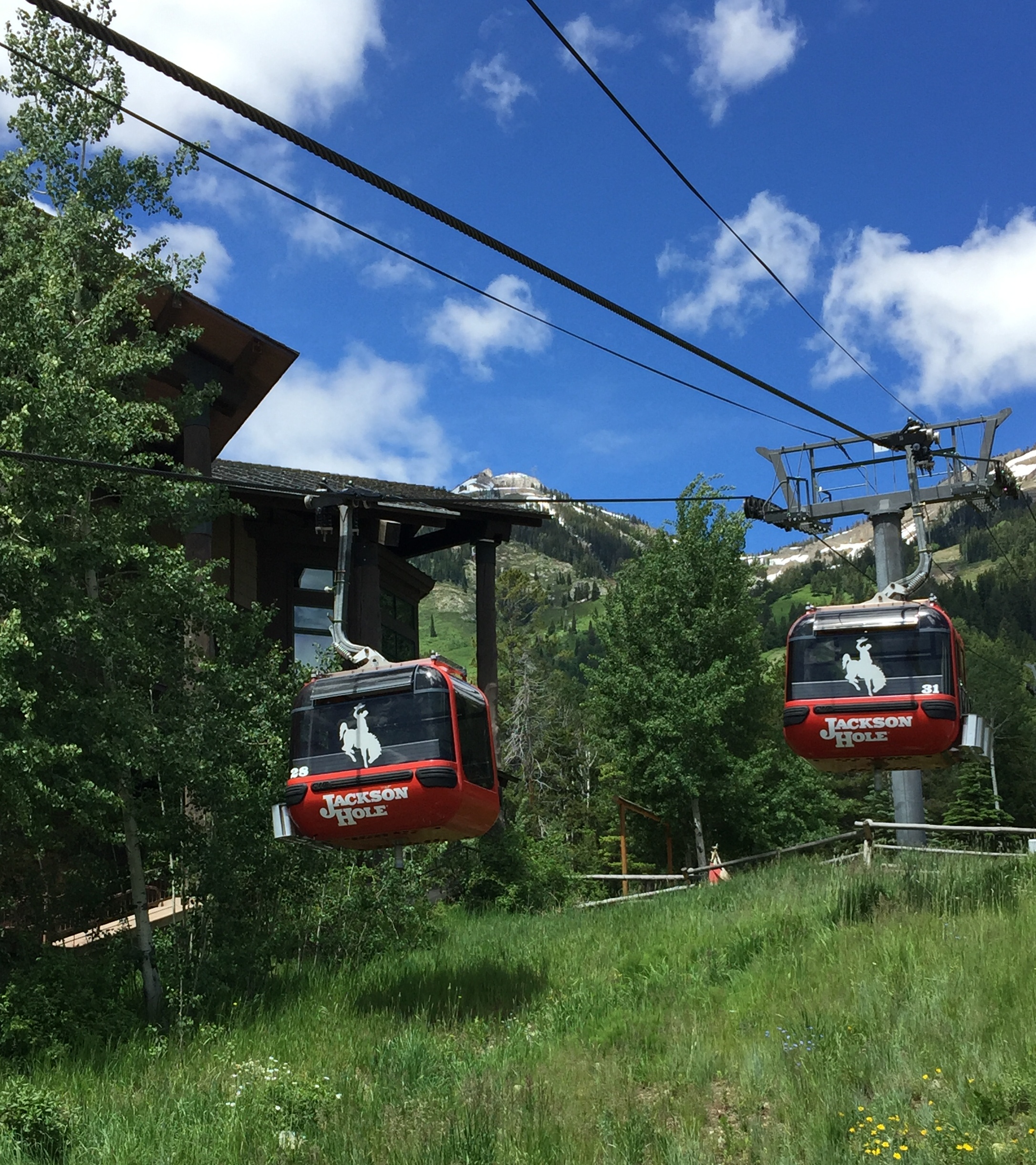 Gondola ride to top of Rendezvous Mt. - Jackson Hole Ski Area