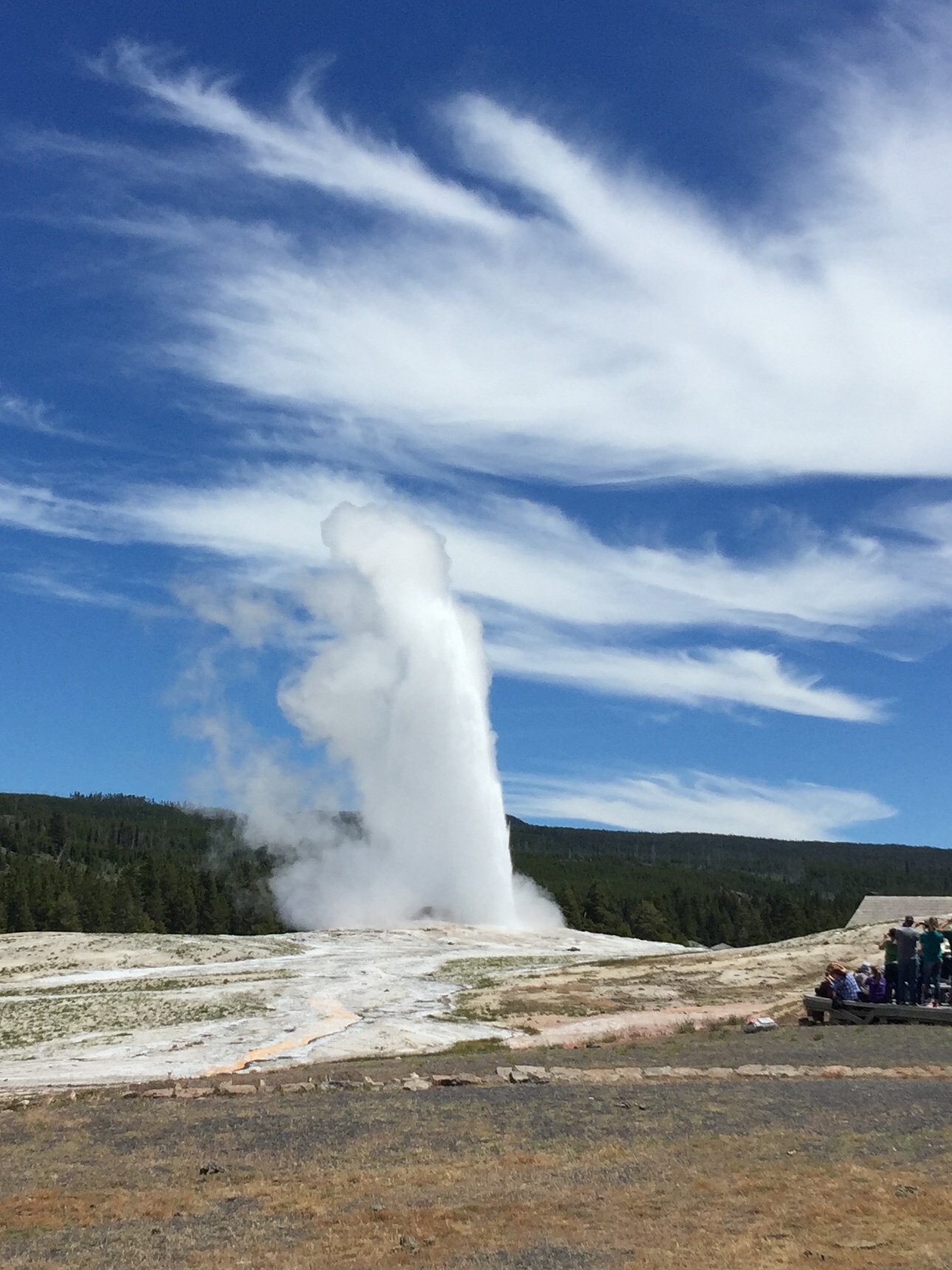 Old Faithful - YNP