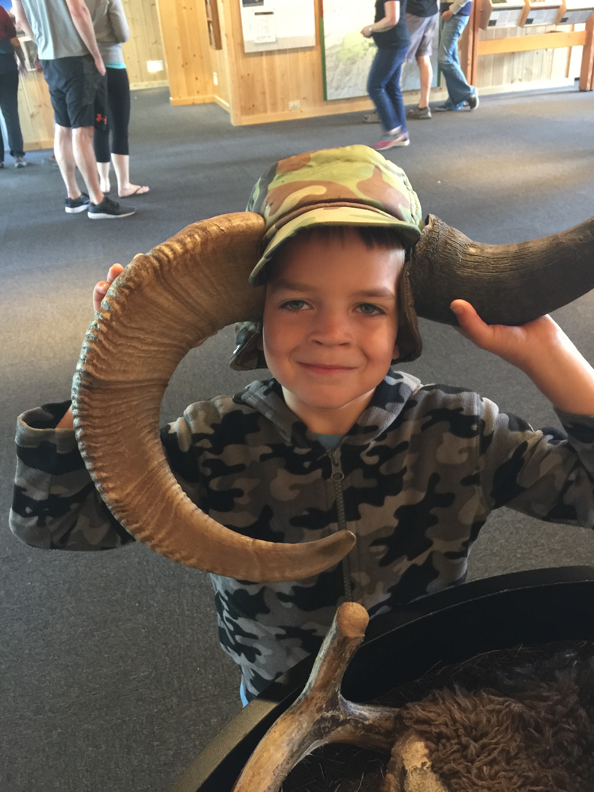  Deciding whether to be a bighorn sheep or a bison.&nbsp; Coulter Bay Visitor Center - GTNP 