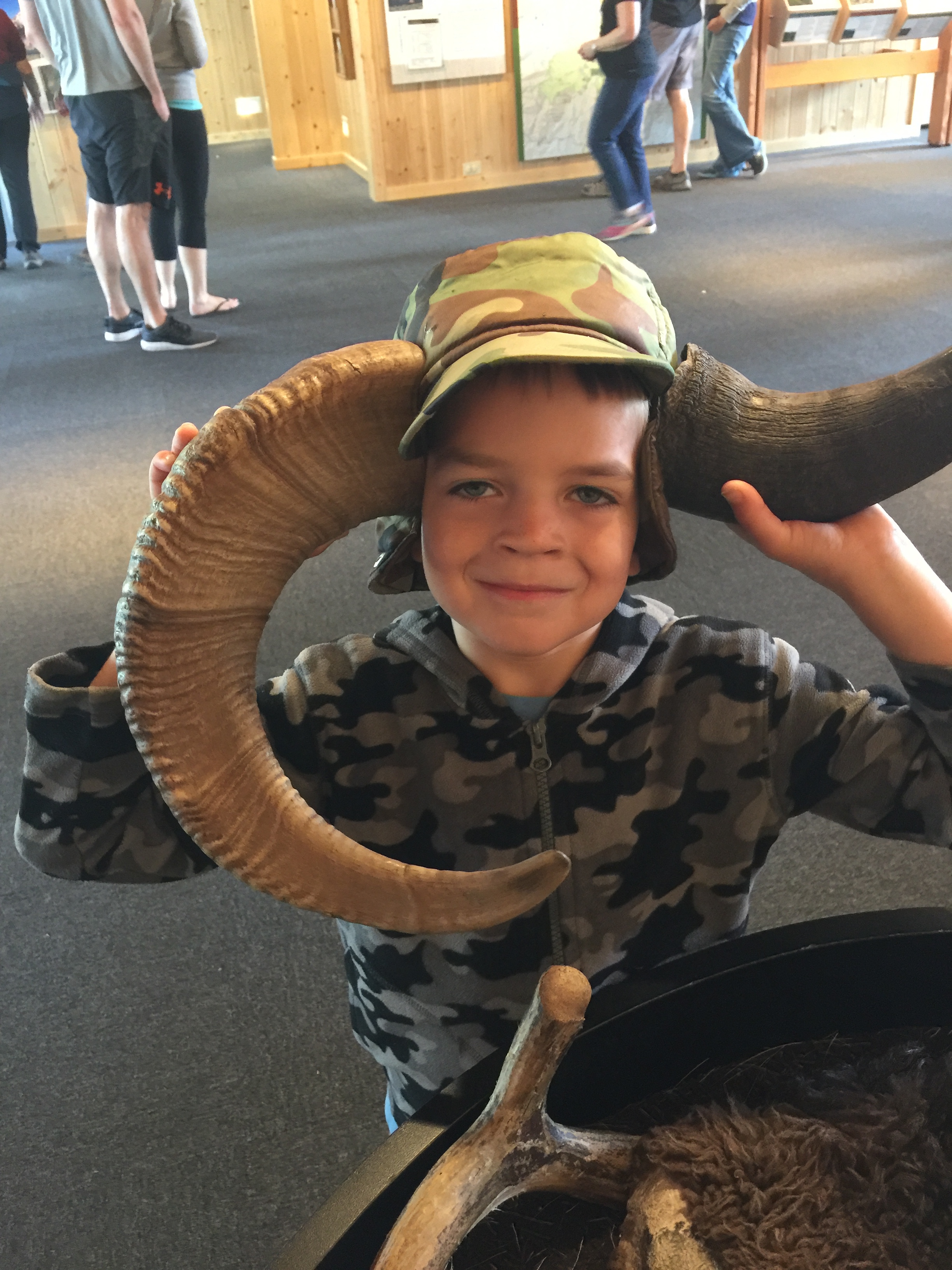 Deciding whether to be a bighorn sheep or a bison. Coulter Bay Visitor Center - GTNP
