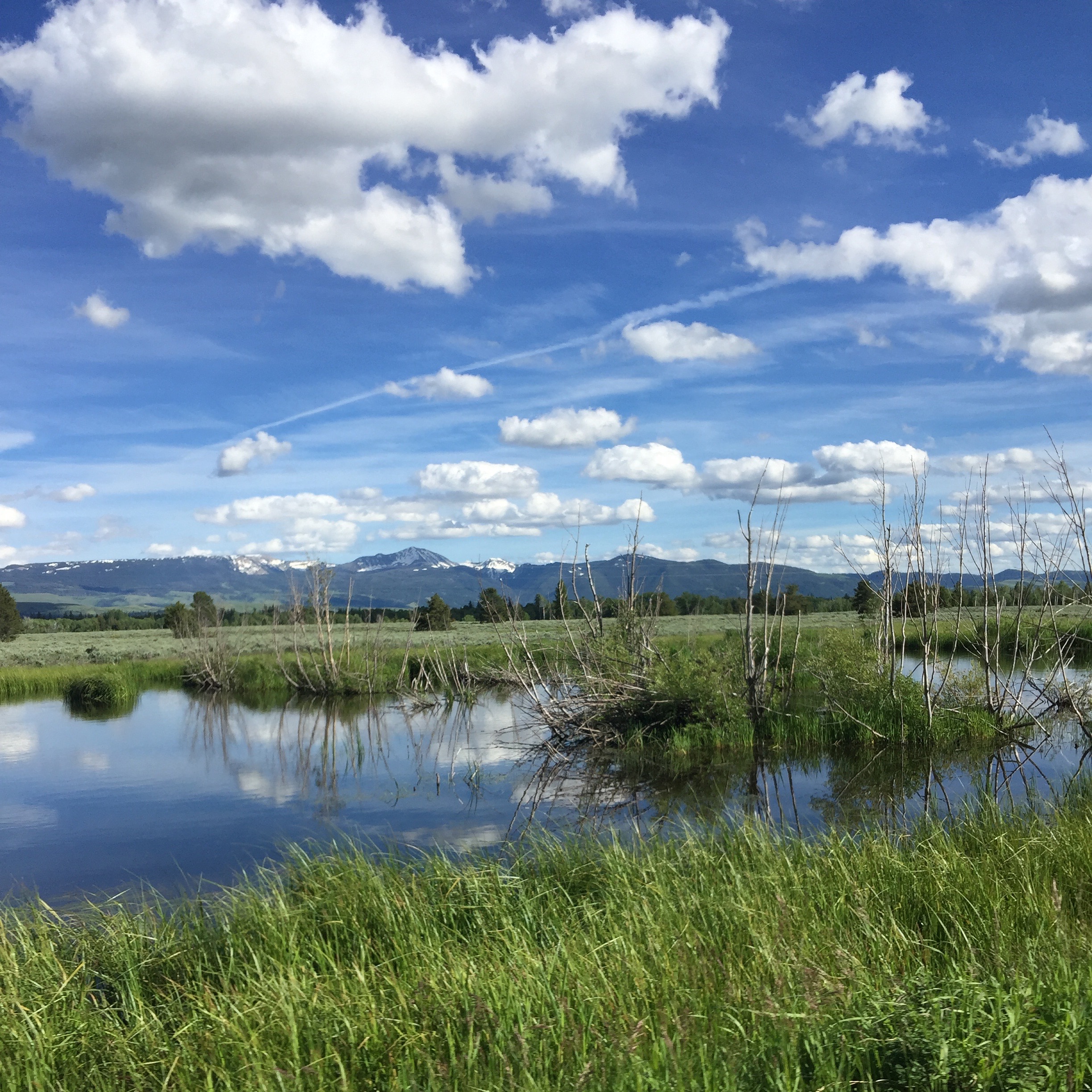  Painting material - Moose/Wilson Road - GTNP 