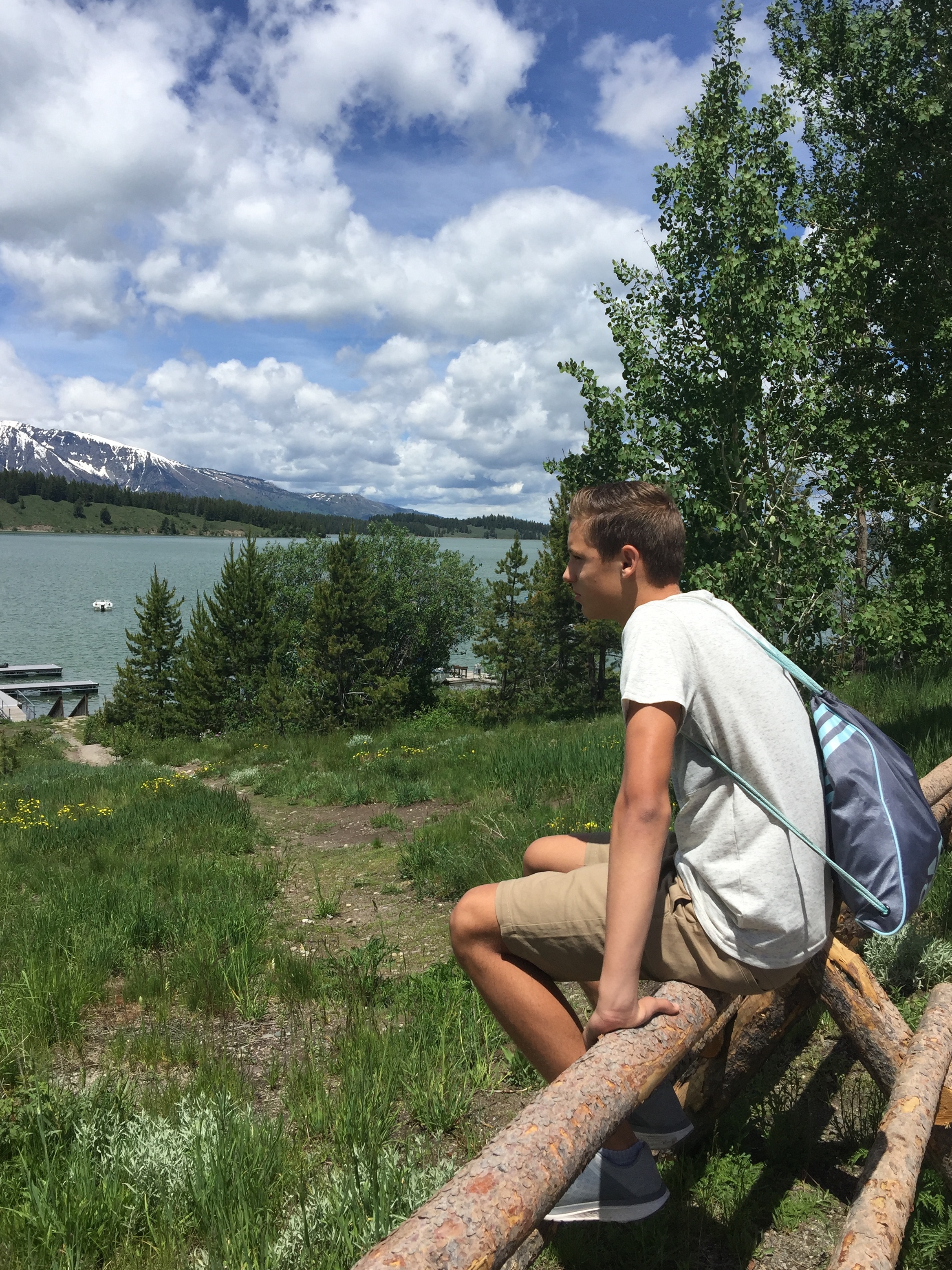 Lots to take in. Signal Mt. area - GTNP