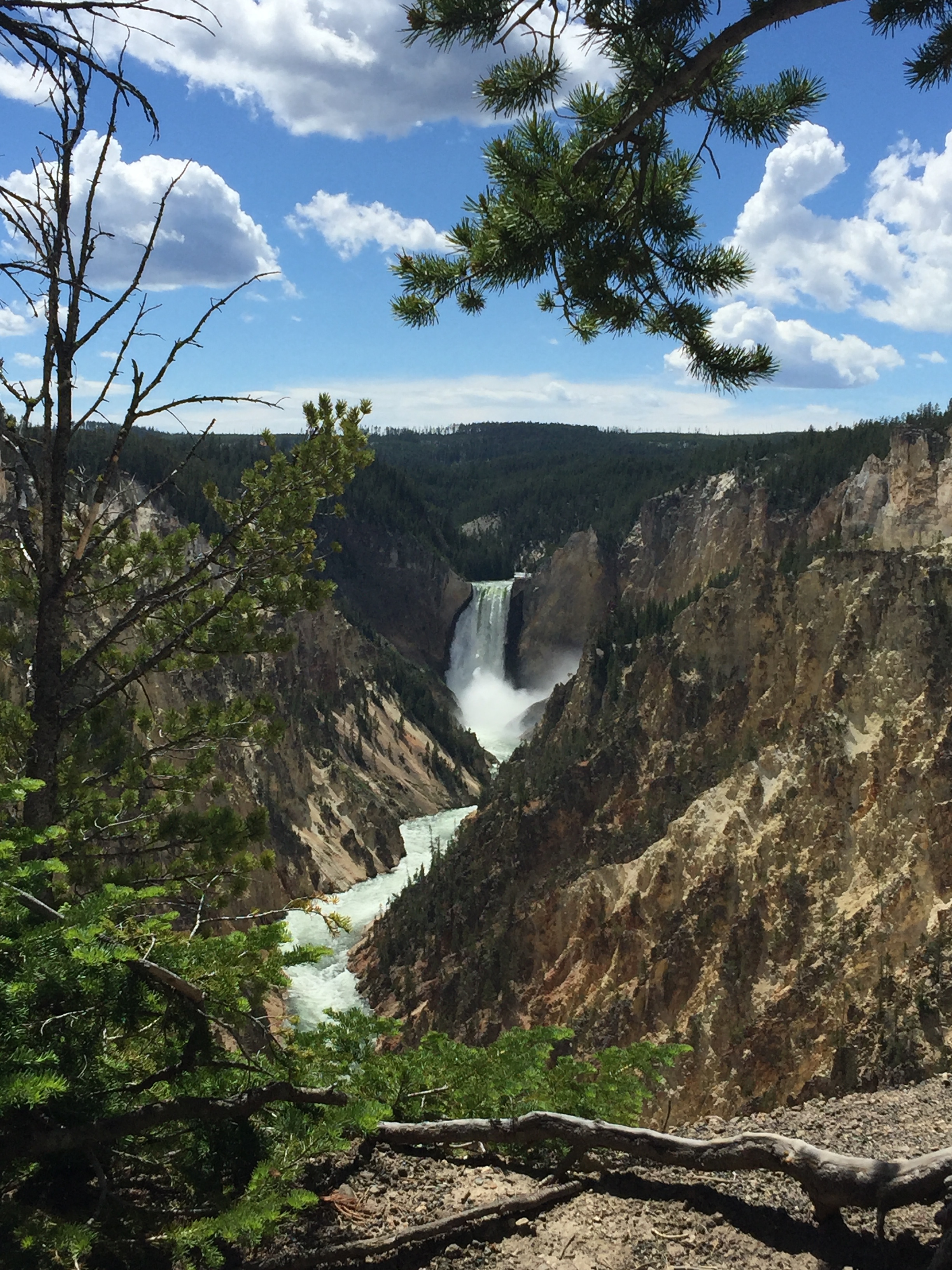  Lower Yellowstone Falls from Artist's Point.&nbsp; YNP 