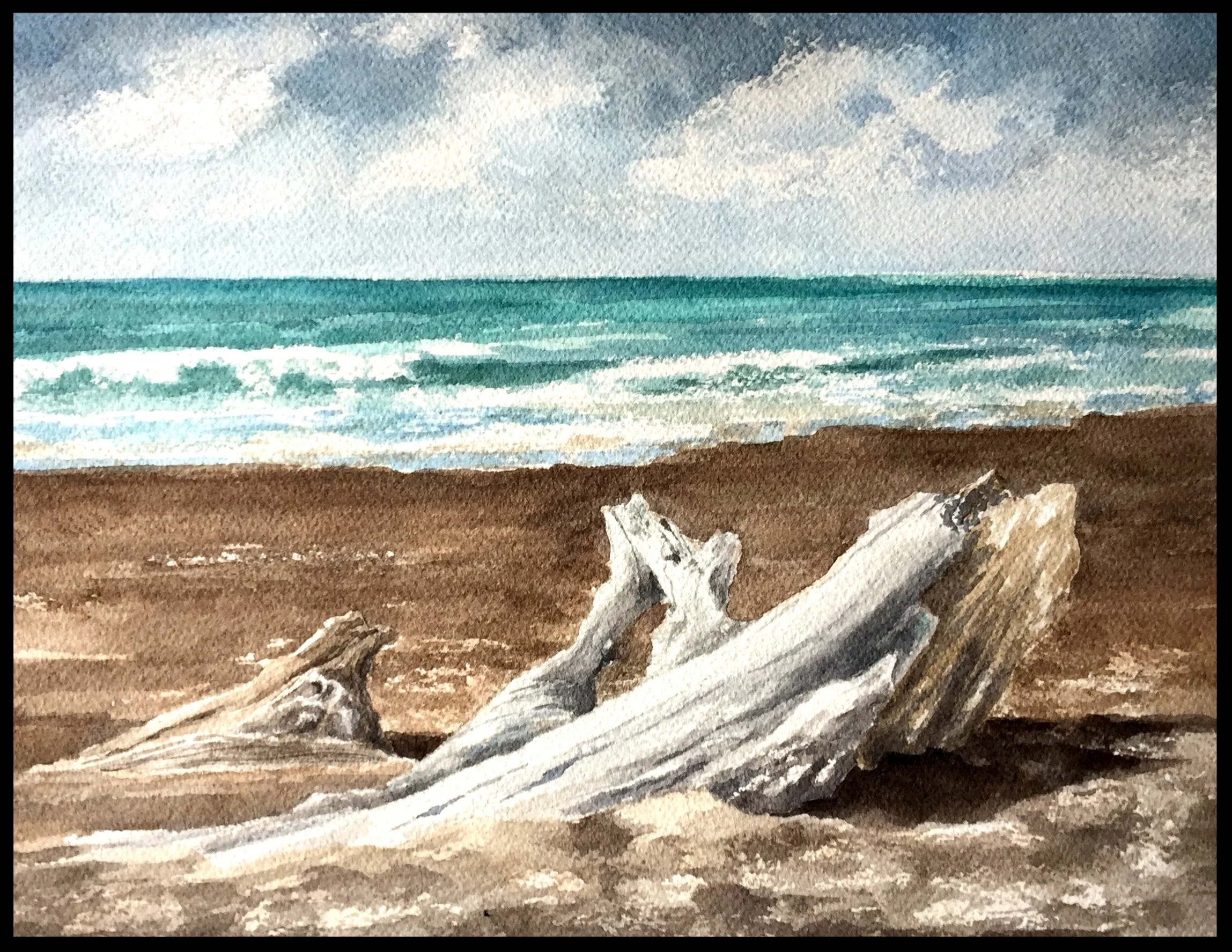 MOONSTONE BEACH DRIFTWOOD