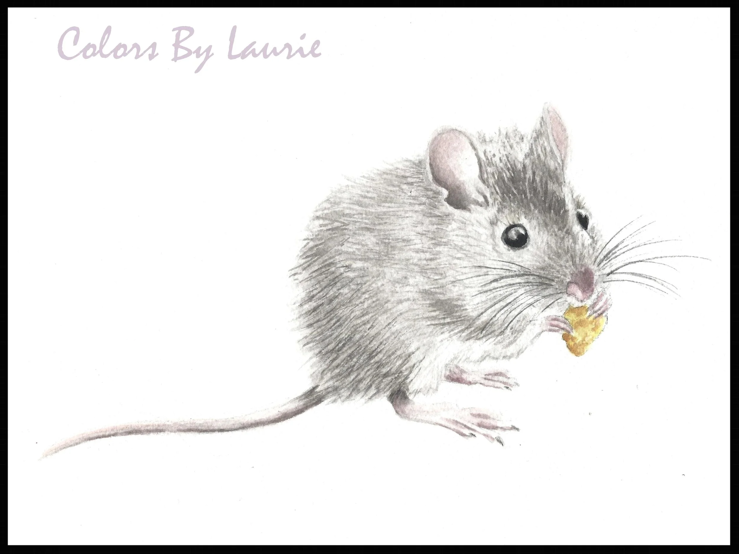 LITTLE MOUSE