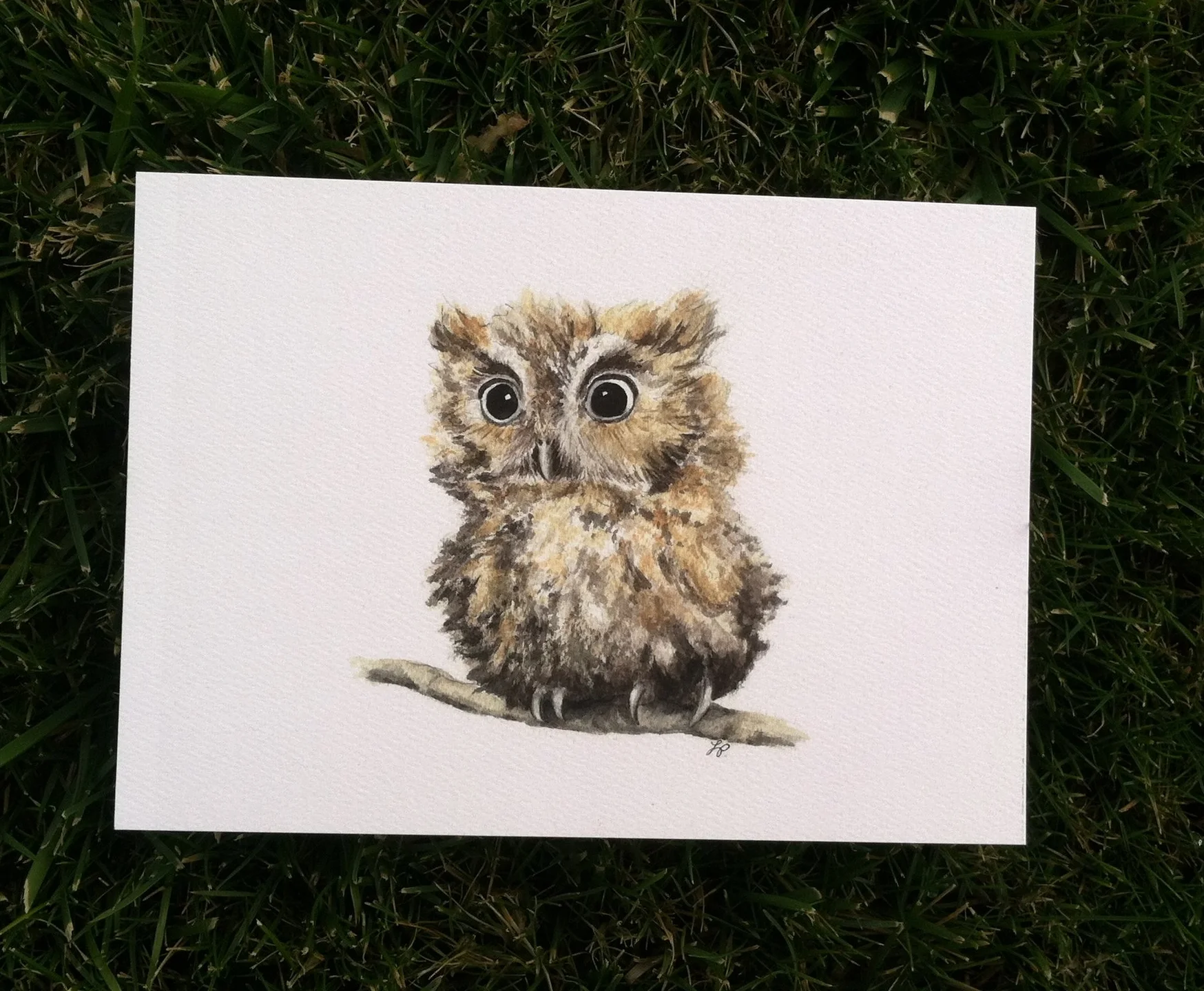 OWL PRINT