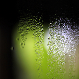 Condensation forming on a window may be an early indicator of damp.