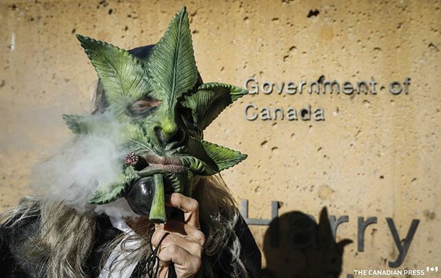 Legalized pot...welcome to Canada
.
.
.
.
.
#canada #marijuana #legalization #cannabis #YYC #calgary #cdnpress @cdnpress #cdnpoli #legalcannabis #canadacannabis #weedwednesday