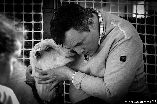 United Conservative Party leader Jason Kenney appears to listen to a goat as he attends a rally as part of the UCP campaign platform roll out in Calgary, Alta., Saturday, March 30, 2019.THE CANADIAN PRESS/Jeff McIntosh
.
.
.
.
.
#ableg #abelection #cdnpoli #canpoli #alberta #yyc #abpoli #albertaelection #abvote #bnw #blackandwhite #bnw_captures #vimpt #vimptfreeprint #reportagespotlight