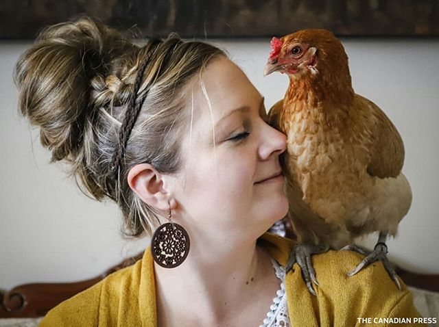 A sense of calm comes over Nikki Pike and her sons Newin, and Noah, when they are with the family's three hens Nugget, Nibble and Noodle, at their home in Calgary, Alta., Saturday, May 4, 2019.THE CANADIAN PRESS/Jeff McIntosh . . . . .
#chicken #chickens #chickensofinstagram #chickenlover #chickensofig #calgary #calgarylife #calgaryphotographer #calgarybuzz #yyc #emotionalsupport #emotionalsupportanimal #canon #shotoncanon #photojournalism #reportagespotlight